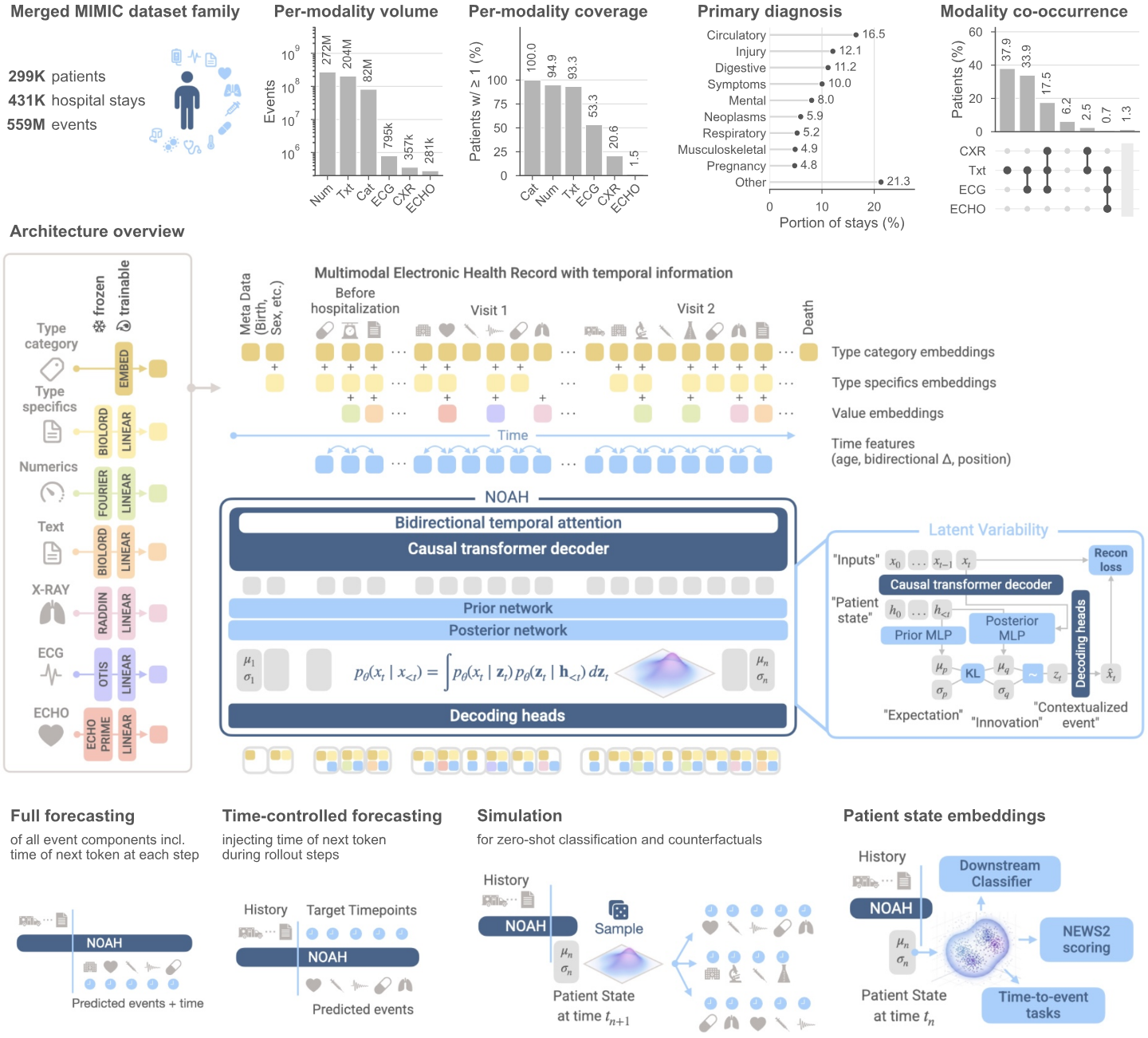 Overview of NOAH: statistics of the merged MIMIC lifetime dataset, the architecture embedding multimodal health-record events through type category, type specifics, and value, a causal transformer decoder with bidirectional temporal attention and a variational latent module, and the downstream uses: free and time-controlled forecasting, simulation, and patient state embeddings.